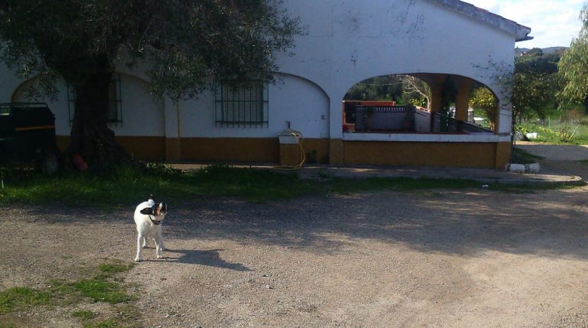 Finca en El Bosque, LA ZARZA