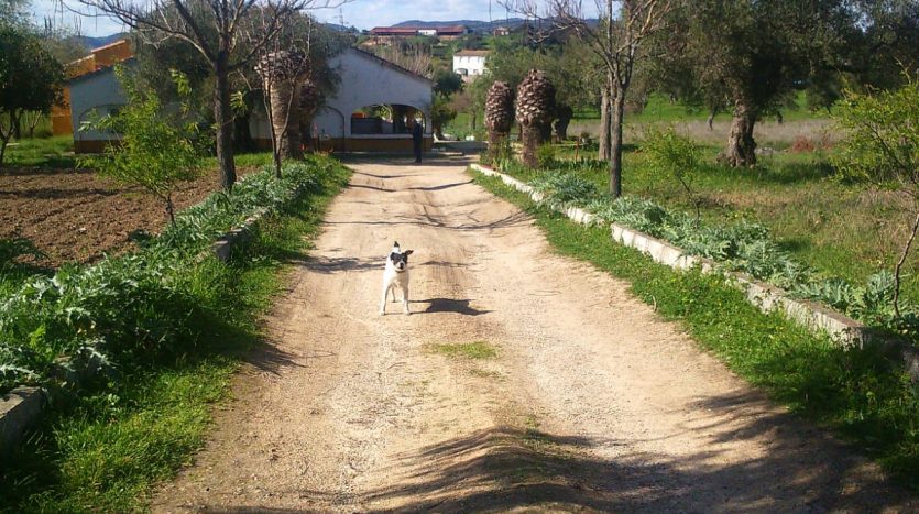 Finca en El Bosque, LA ZARZA