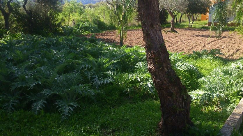 Finca en El Bosque, LA ZARZA