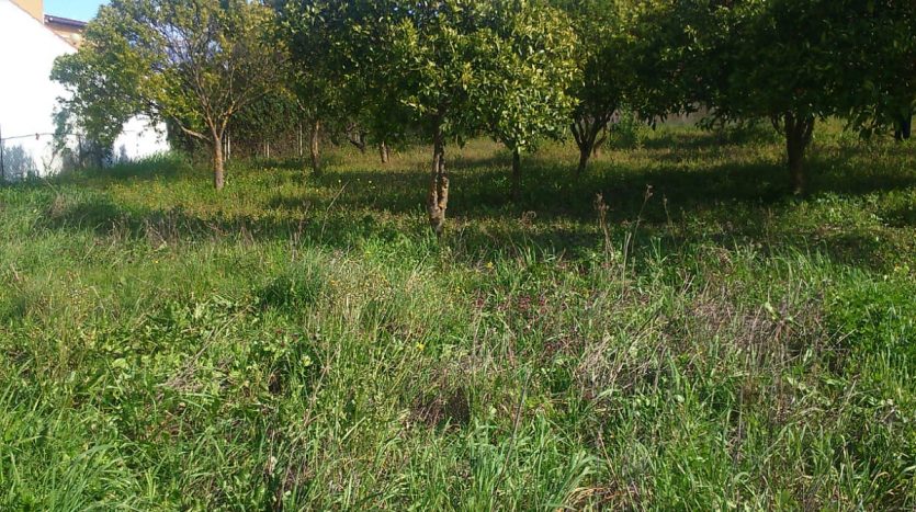 Finca en El Bosque, LA ZARZA
